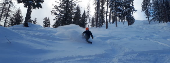 Skiing Fresh Powder on Silver Star