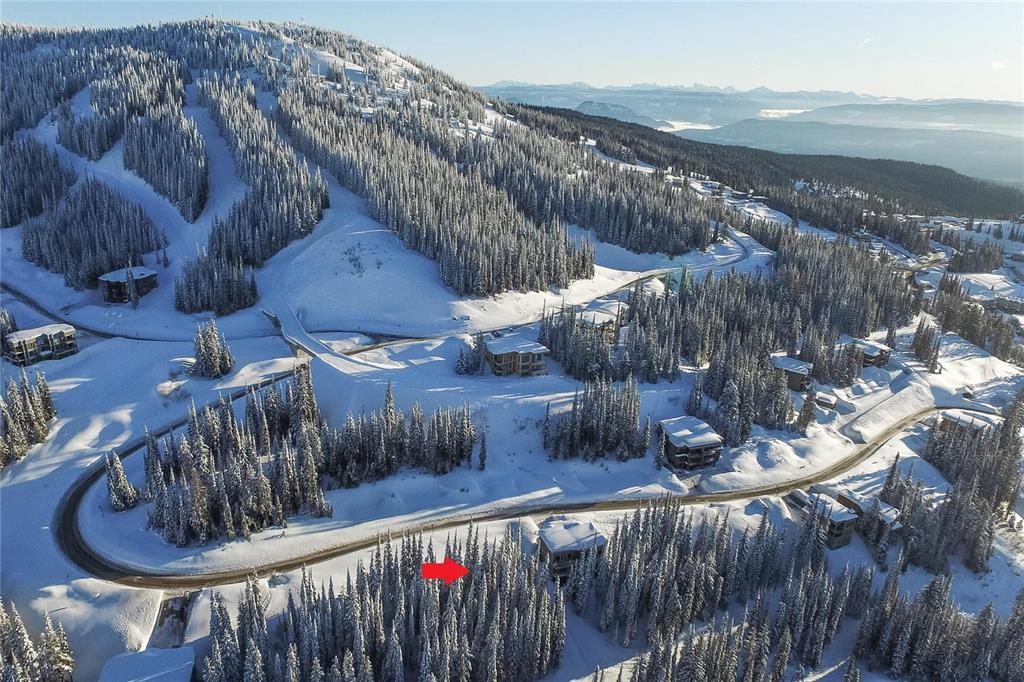 9891 Cathedral Drive, Silver Star, BC, V1B 3M1 (155111580)